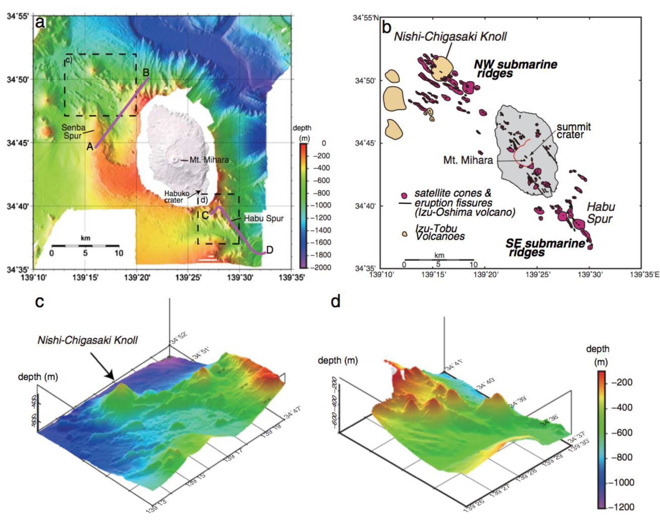 伊豆大島周辺の海底側火山分布図 (Ishizuka et al，2014)