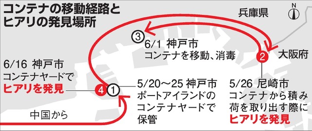 強毒 「ヒアリ」 神戸港 路面の亀裂部分 複数箇所で 約 100匹発見　2017年6月18日