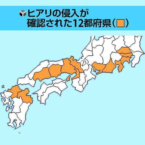 ヒアリ確認 12都府県地図 2018年5月18日現在