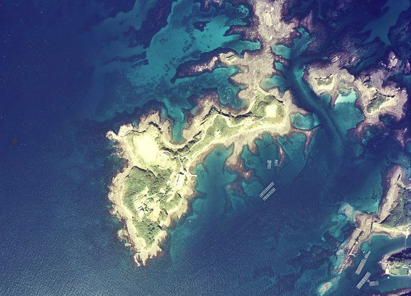海栗島の空中写真 （1977年撮影）