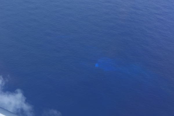 2021年8月5日 湧出点付近から南南西方向に青白色の変色水域　（左側写真）