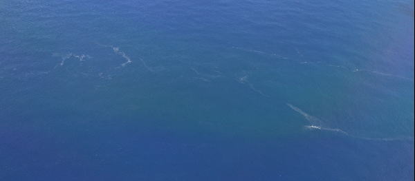 2022年8月23日 福徳岡ノ場付近の変色水と軽石様の浮遊物　（右側写真）