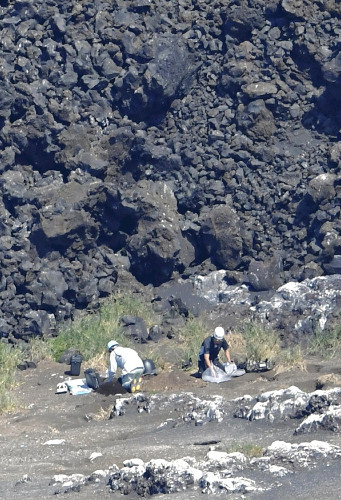 噴火活動で面積が拡大した西之島（西ノ島）で、初めて上陸調査を行う調査団（2016年10月20日午前10時40分小笠原諸島 西之島で、読売機から