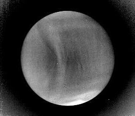 中間赤外カメラ（LIR）　12月7日14:19ごろ撮影(日本時間)　金星高度約7万2千km