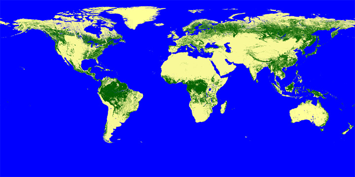 「だいち2号」（ALOS-2）による 全球 25m分解能の全球森林マップ