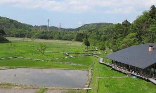 ラムサール条約に登録された福井県敦賀市の中池見湿地（写真：鉄道建設・運輸施設整備支援機構）