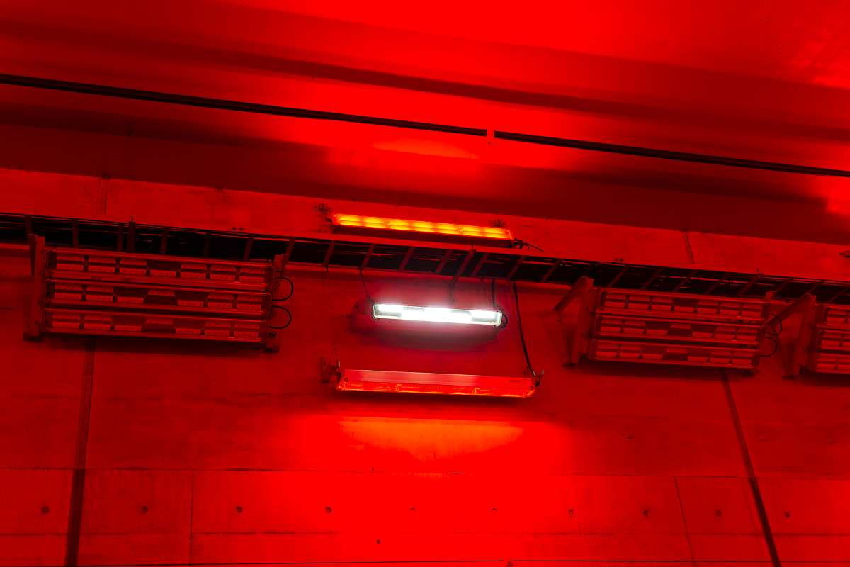 トンネルの入り口から 200mまでの区間には、警告灯付きの照明を設置